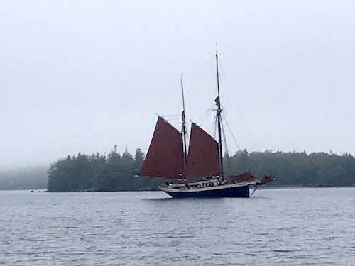 Angelique Anchored Nearby