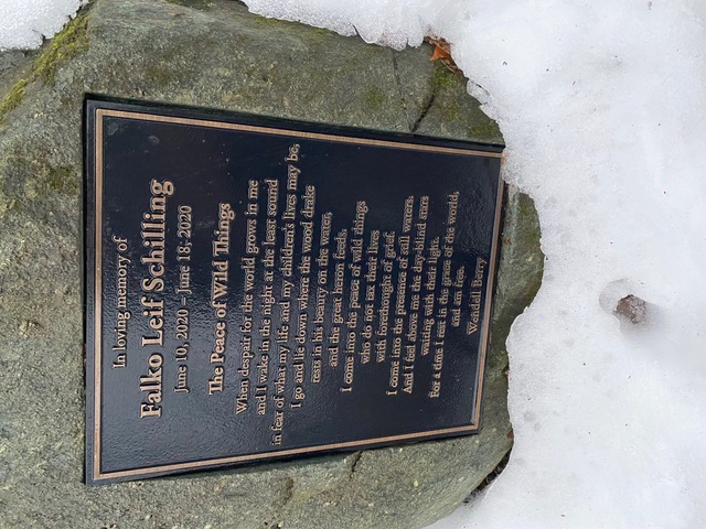 Bronze plaque dedicated to the memory of an infant named Falko, who lived only eight days in midsummer of 2020. Photo by Willem lange