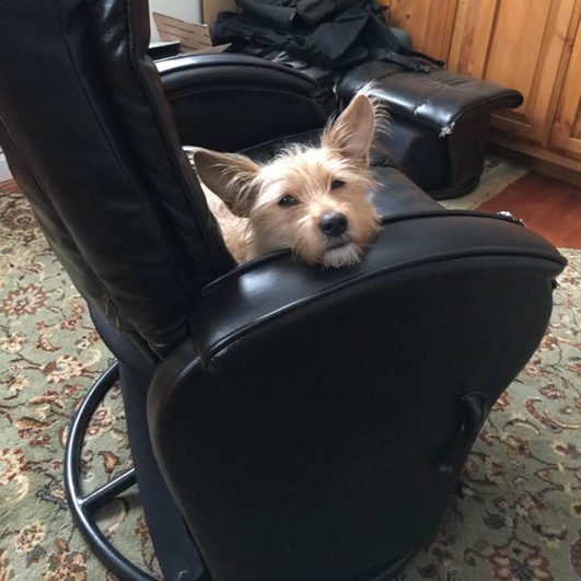 Kiki kiki-chair
